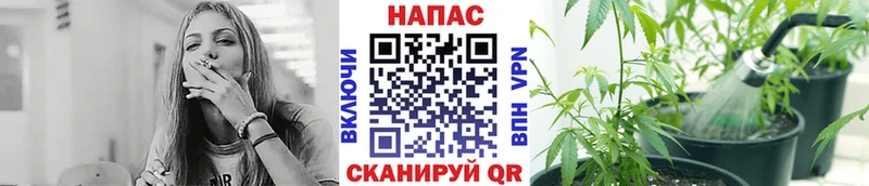 как найти наркотики  Черноголовка  МАРИХУАНА LSD WEED 